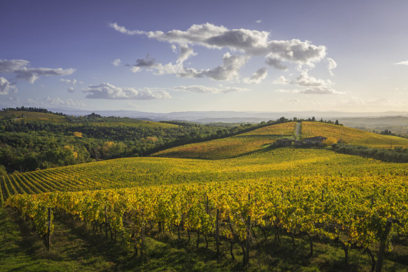 Vigneti in Toscana (ph: StevanZZ via Depositphotos)