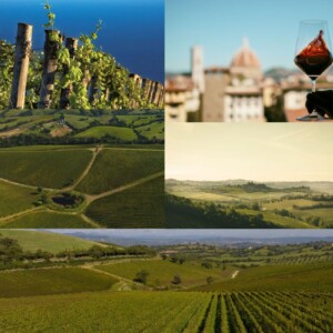 Tuscany of wine makes system, and tries to unite around the strength of its top brand, “Toscana”