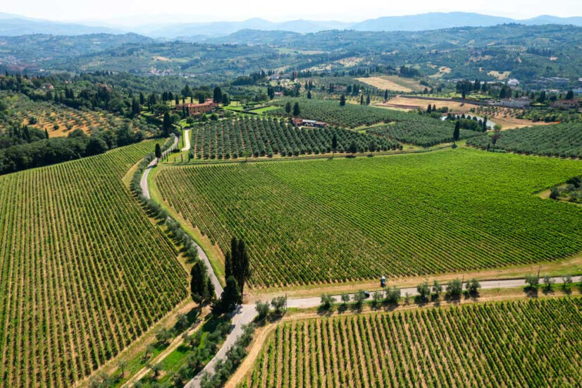 “BuyWine”, la Toscana alla prova del business