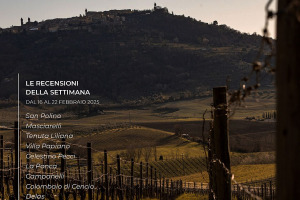 I Vini di WineNews - N. 350