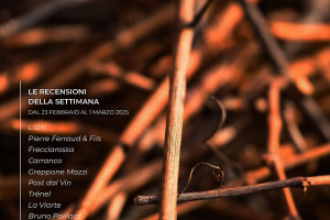 I Vini di WineNews - N. 351