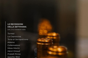 I Vini di WineNews - N. 352