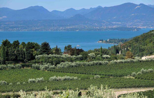 BARDOLINO, CHIARETTO DI BARDOLINO, CONSORZIO CHIARETTO E BARDOLINO, ENOTURISMO, FABIO DEI MICHELI, FORMAZIONE, LAGO DI GARDA, LAKE GARDA WINES, MERCATI, Italia