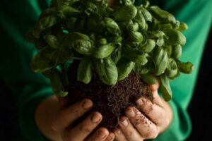 &ldquo;Giornata Europea del Biologico&rdquo;, Wwf: in Italia &egrave; biologico un ettaro su cinque