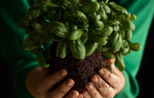 AGRICOLTURA BIOLOGICA, BIOLOGICO, GIORNATA EUROPEA DEL BIOLOGICO, WWF ITALIA, Non Solo Vino