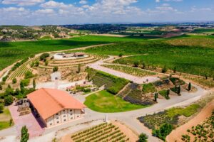 Da Ronaldo a Glenn Close, una cantina spagnola dà vita al wine club più esclusivo del mondo