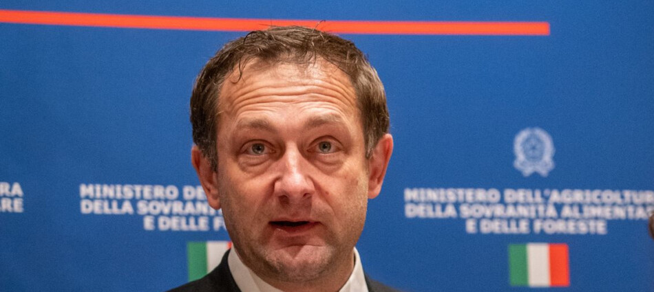 Promozione, etichettatura, gestione degli impianti: le novità in arrivo con il “Pacchetto Vino” Ue