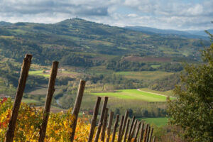 Cambia il clima, cambierà il Barolo ?