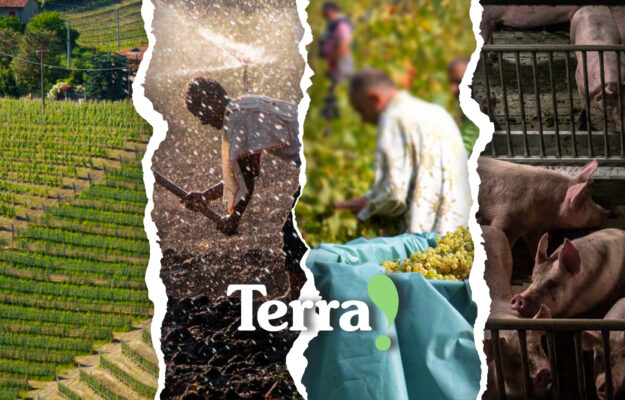 AGRICOLTURA, CAPORALATO, REPORT, TERRA, Non Solo Vino