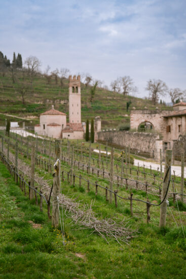 La bellezza di Villa della Torre di Marilisa Allegrini, e dei suoi vigneti