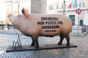 “Maiale gigante” davanti a Montecitorio: la protesta di Greenpeace contro gli allevamenti intensivi