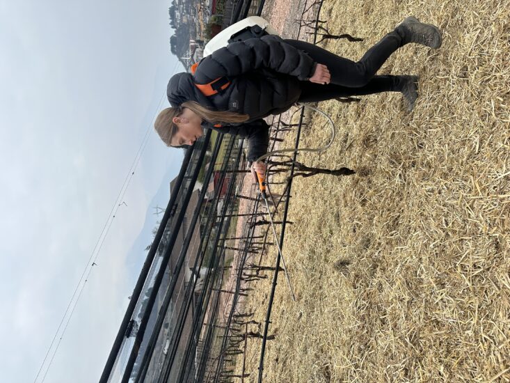 Maso Martis sperimenta l’agroecologia 