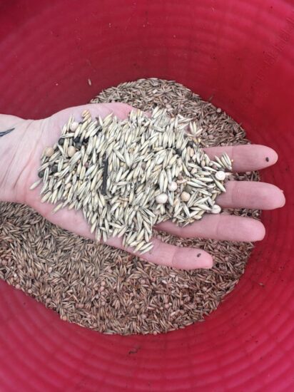 Maso Martis sperimenta l’agroecologia 