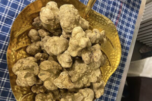 Sandrino Tartufi, il tartufo fresco