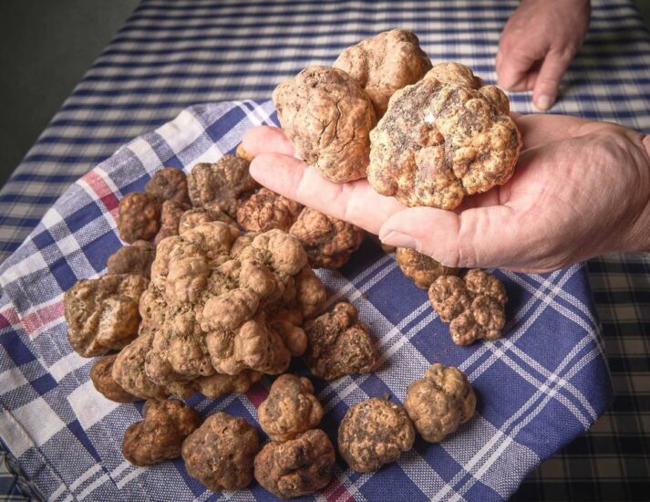 La festa del “Tartufo Marzuolo delle Crete Senesi” a San Giovanni d’Asso
