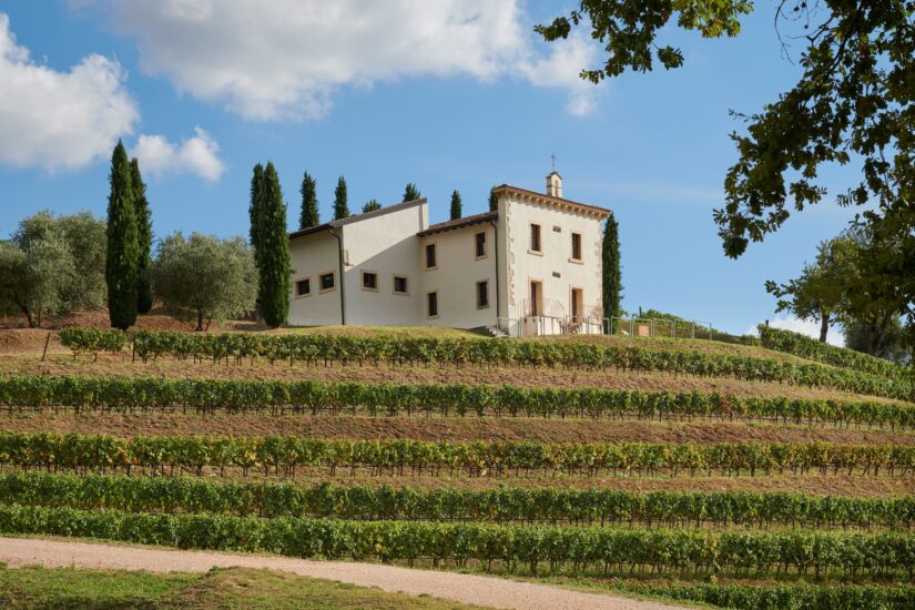La Tenuta Novare di Bertani (Angelini Wines & Estates) in Valpolicella