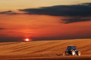 Agricoltura italiana tra luci ed ombre: leader in Europa come valore aggiunto, ma con tanti freni
