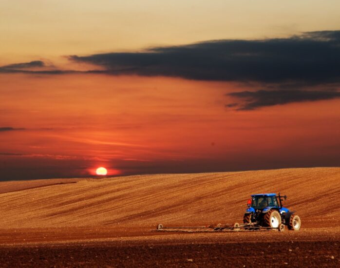 Agricoltura italiana tra luci ed ombre (ph: bedneyimages by Freepik)