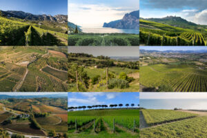 Le grandi fiere internazionali, dove le aziende fanno business, e i territori si raccontano al mondo