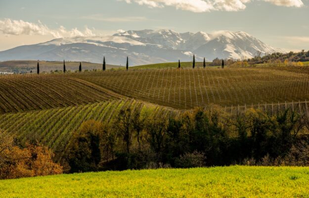 ABRUZZO, consorzio tutela vini Abruzzo, ZONAZIONE, Italia