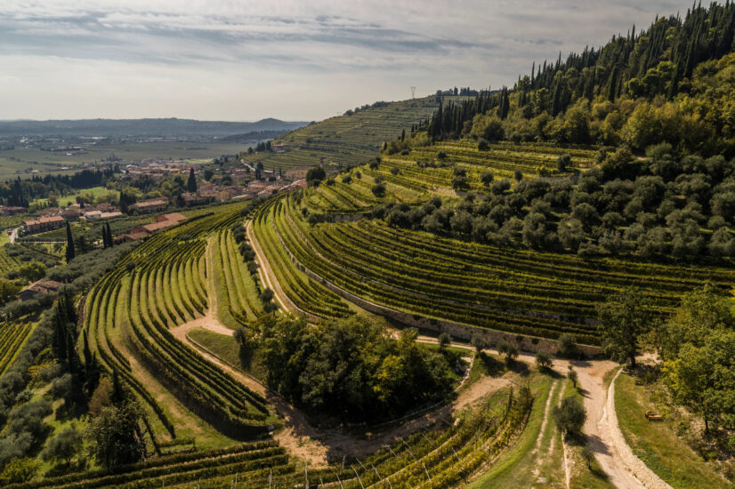 I vigneti di Masi, in Valpolicella