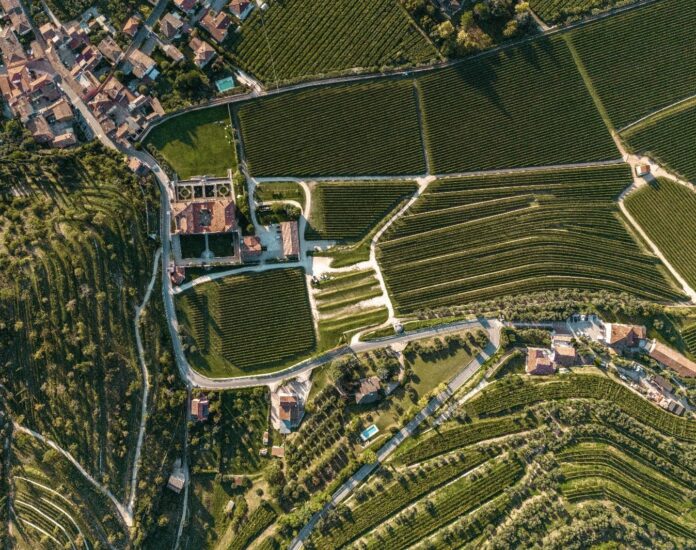 La bellezza di Villa della Torre di Marilisa Allegrini, e dei suoi vigneti