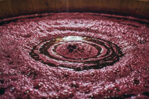 44 milioni di ettolitri: è il dato ufficiale finale della vendemmia 2024 in Italia