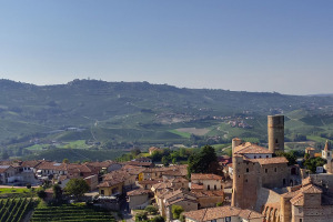 I Quaderni di WineNews - Il Barolo
