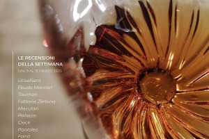 I Vini di WineNews - N. 353