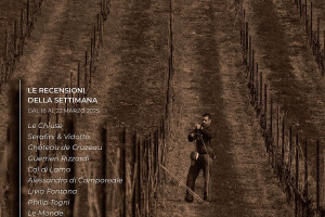 I Vini di WineNews - N. 354