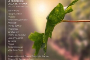 I Vini di WineNews - N. 355