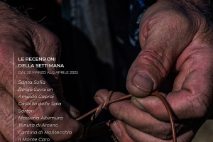 I Vini di WineNews - N. 356