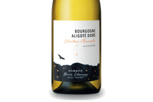 Boris Champy, Aoc Bourgogne Aligoté Dorè Selection Massale 2021