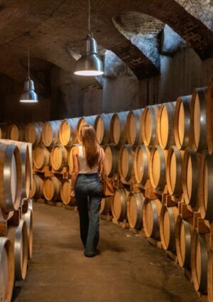 Il Ministro dell&rsquo;Agricoltura Lollobrigida: firmato il decreto per la promozione del turismo del vino