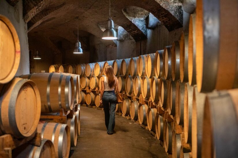 Veronafiere e Vinitaly puntano sull’enoturismo