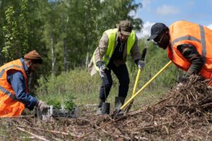Aumentano i lavoratori stagionali in agricoltura, ma oltre due aziende su tre sono irregolari