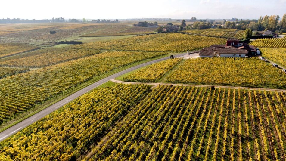 Bordeaux, al via le “Semaine des Primeurs”