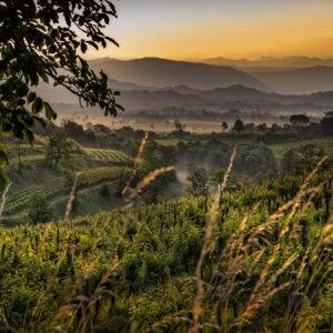 Il vino (16,8 miliardi di euro) traina l’export degli alcolici europei nel 2024 in crescita sul 2019