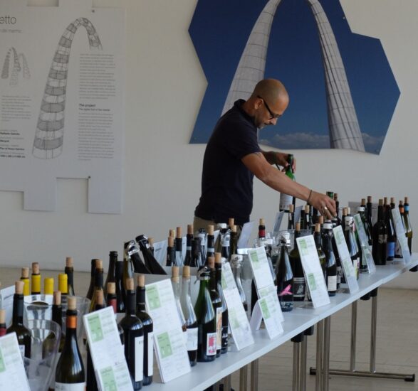 “VinNatur Tasting” a Gambellara 