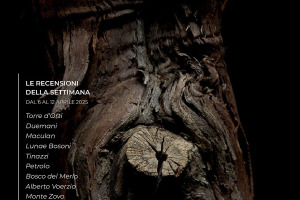 I Vini di WineNews - N. 357