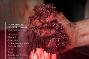 I Vini di WineNews - N. 358