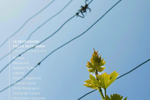 I Vini di WineNews - N. 359