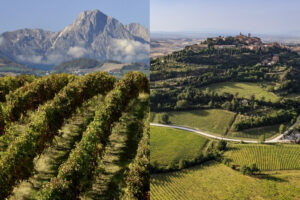 Vino e politica, si riaccende la querelle tra Abruzzo e Toscana, nel nome di “Montepulciano”