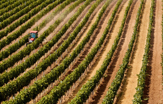 AGRICOLTURA, AGRIFISH, Confagricoltura, COPA COGECA, FONDO UNICO, FRANCESCO LOLLOBRIGIDA, MASSIMILIANO GIANSANTI, MINISTRO DELL'AGRICOLTURA, PAC, UE, Non Solo Vino