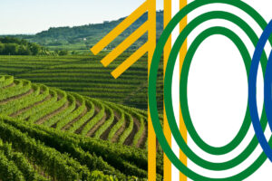 Le aziende agricole più “sostenibili” sono anche più redditizie: il “Rapporto AGRIcoltura100” Le aziende agricole più “sostenibili” sono anche più redditizie: il “Rapporto AGRIcoltura100”