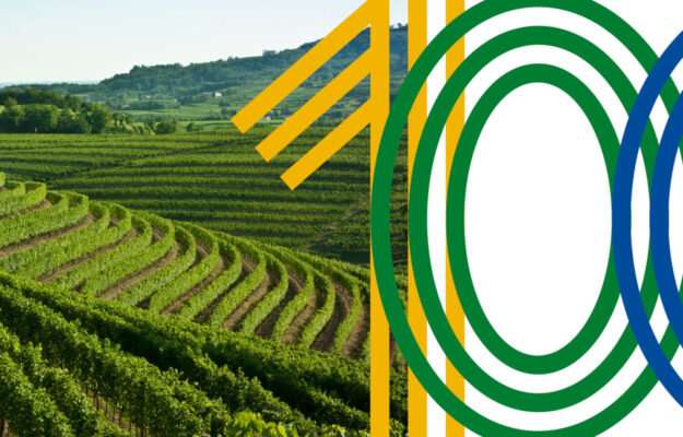 AGRICOLTURA, AGRICOLTURA 100, AZIENDE AGRICOLE, Confagricoltura, INNOVAZIONE, REALE MUTUA, REDDITIVITÀ, SOSTENIBILITA, Non Solo Vino