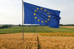 Meno burocrazia, controlli semplificati e non solo: la Commissione Agricoltura Ue rivede la Pac Meno burocrazia, controlli semplificati e non solo: la Commissione Agricoltura Ue rivede la Pac
