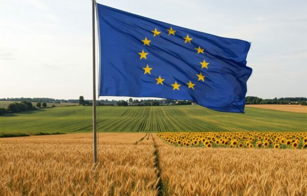 AGRICOLTURA UE, COMMISSIONE UE, PAC, POLITICA AGRICOLA COMUNE, SEMPLIFICAZIONE, Non Solo Vino