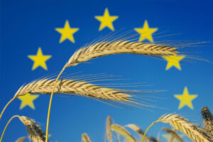 Rafforzare il ruolo degli agricoltori nella filiera: primo sì da parte dei Paesi Ue Rafforzare il ruolo degli agricoltori nella filiera: primo sì da parte dei Paesi Ue