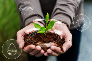 L’agricoltura rigenerativa, cos’è, cosa non è, e come metterla in pratica secondo Wwf L’agricoltura rigenerativa, cos’è, cosa non è, e come metterla in pratica secondo Wwf